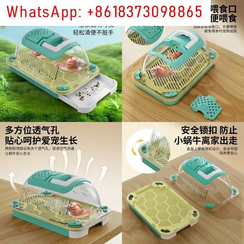 Outdoor Adventure Experiences - 1pcs Outdoor Adventure Insect Box Portable