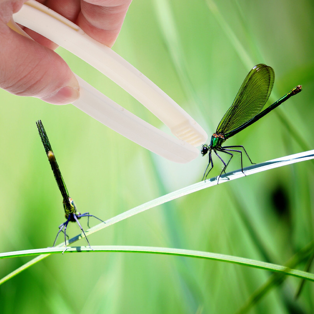 24Pcs Flat Head Tweezers Kids  - Outdoor Adventure For Kids 评论和价格