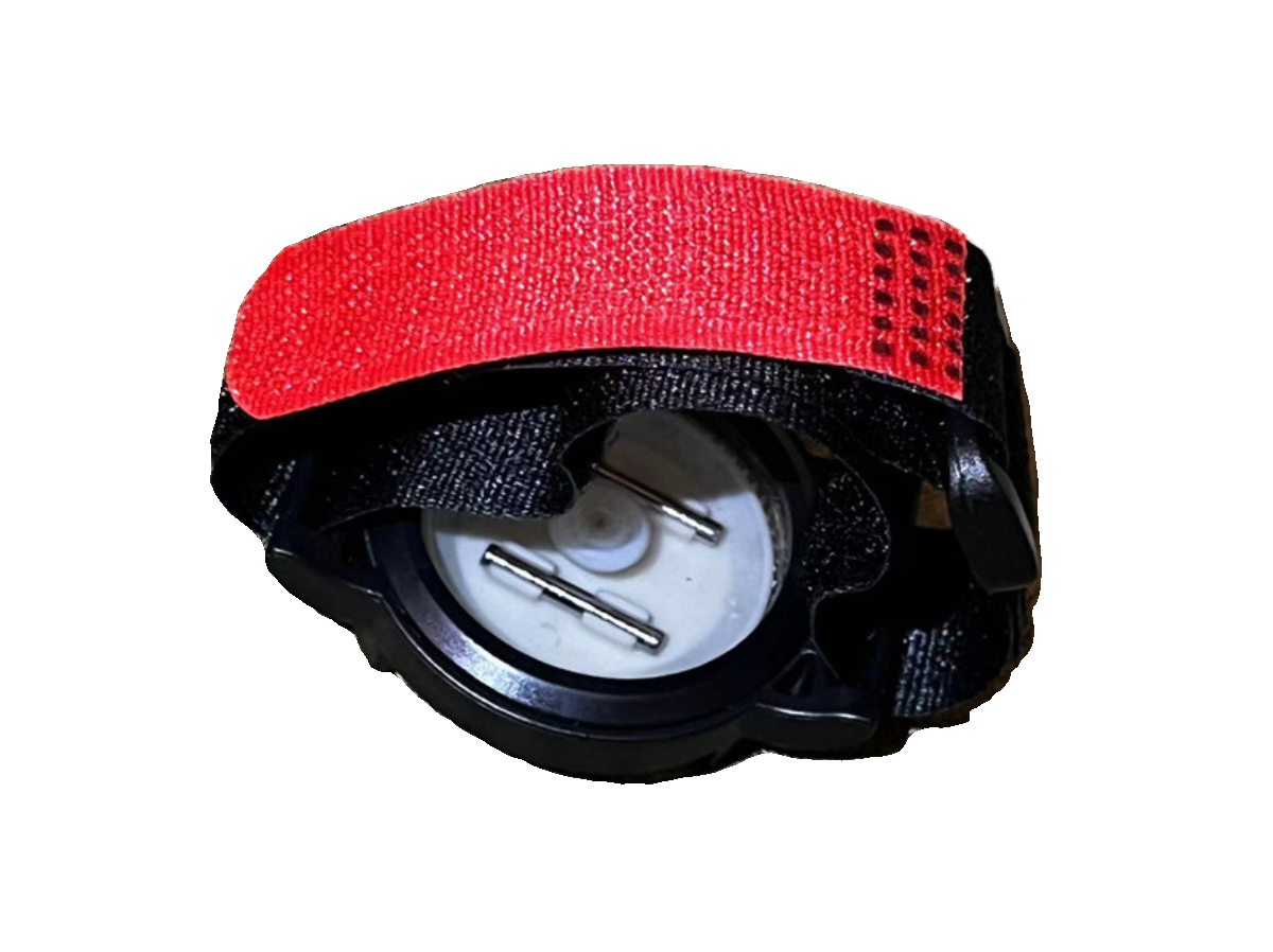 Hiking Camping Strap Compass M - Outdoor Adventure Guide 评论和价格