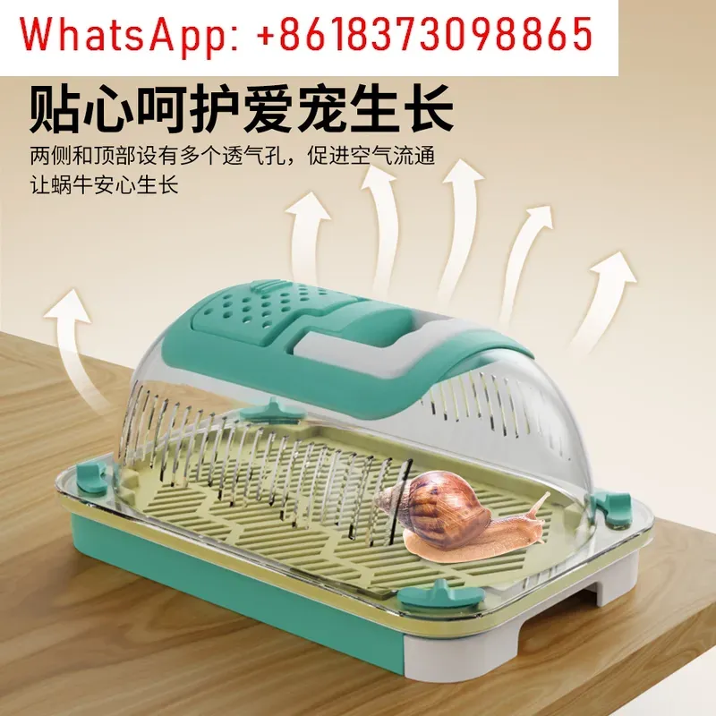 1pcs Outdoor Adventure Insect  - Outdoor Adventure Experiences 评论和价格