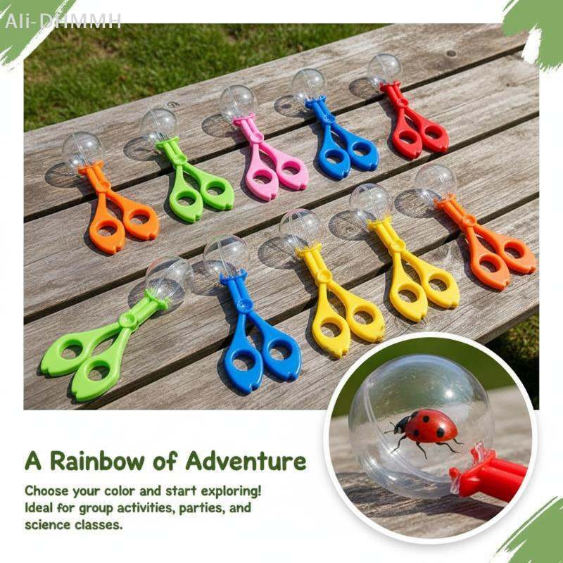 Outdoor Adventure Bug Catch Cl - Outdoor Adventure For Kids 评论和价格